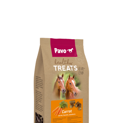 Pavo Healthy Treats Carrot 1 kg – Zdrowe przysmaki dla koni MARCHEWKA