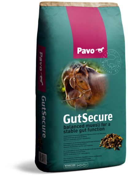 PAVO GutSecure 15 kg – Musli na przewlekłe zaburzenia trawienne w jelicie grubym