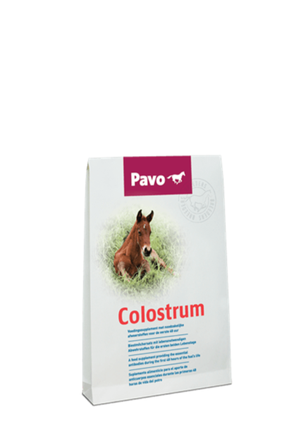 Pavo Colostrum - Zastępcza siara dla źrebiąt 150 gram