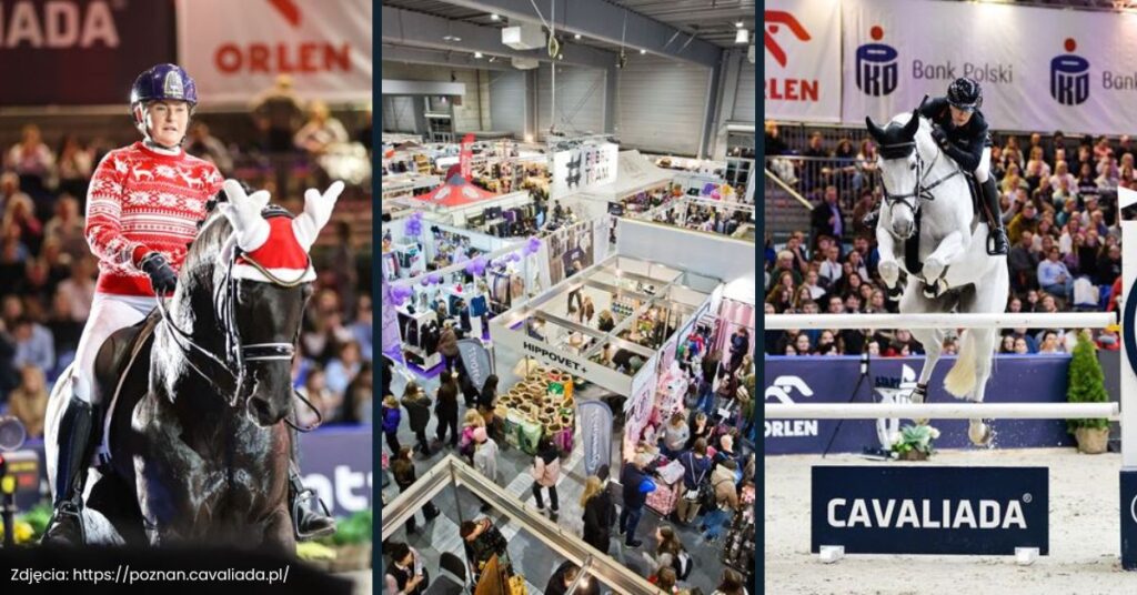 Equi Mate na targach Cavaliada’25 w Poznaniu.