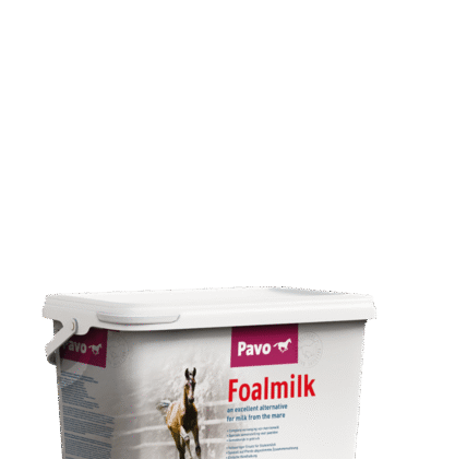 Pavo Foalmilk 10 kg - Preparat mlekozastępczy dla źrebiąt