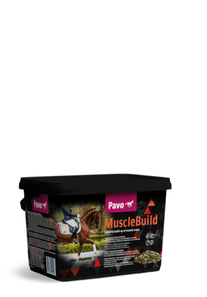 Pavo MuscleBuild 3 kg wiaderko - Dla silnego i umięśnionego konia