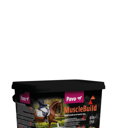 Pavo MuscleBuild 3 kg wiaderko - Dla silnego i umięśnionego konia