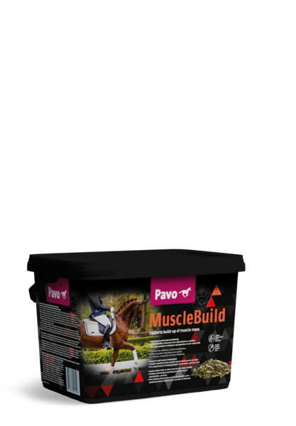 Pavo MuscleBuild 3 kg wiaderko - Dla silnego i umięśnionego konia