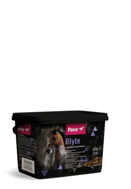 Pavo E'lyte 3kg - Elektrolity w proszku