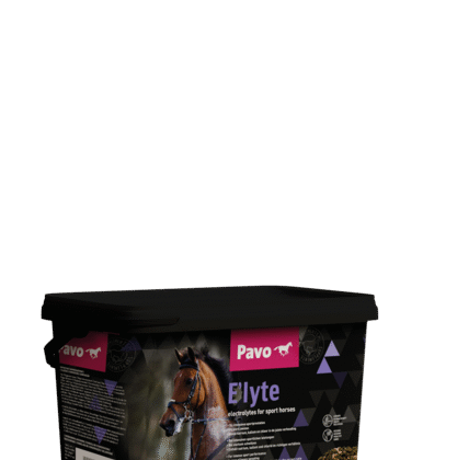 Pavo E'lyte 3kg - Elektrolity w proszku