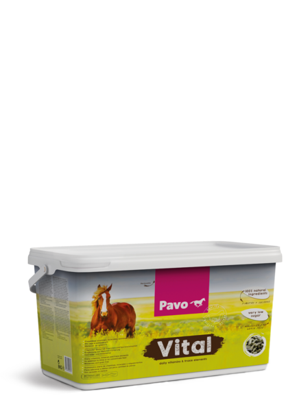 Pavo Vital 8 kg wiaderko - Mieszanka witaminowo-mineralna