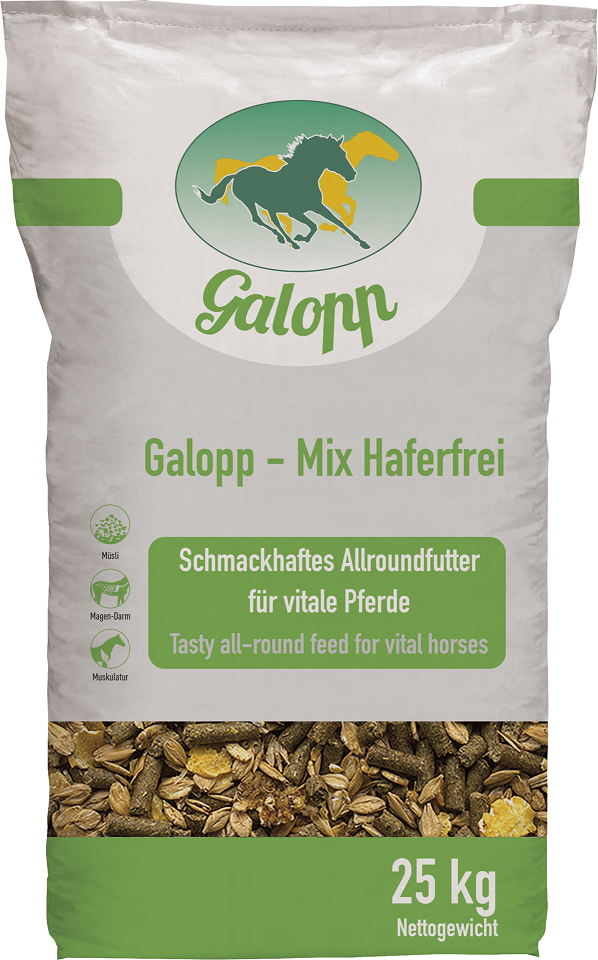 Galopp Mix HF oat free - 25 kg | Musli dla koni sportowych i rekreacyjnych