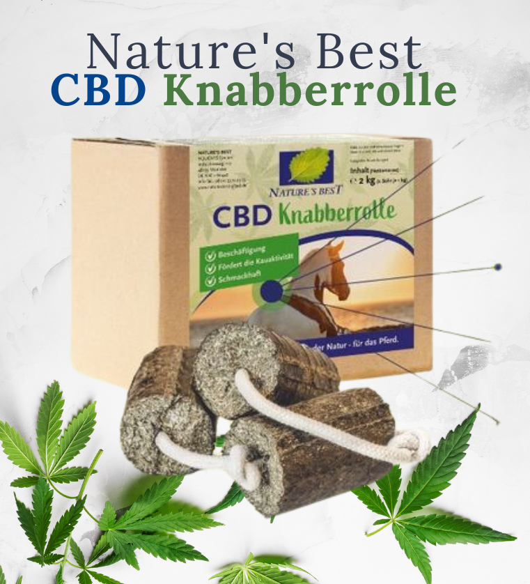 Nature's Best CBD Knabberrolle - 2 kg | Rolka do skubania z CBD
