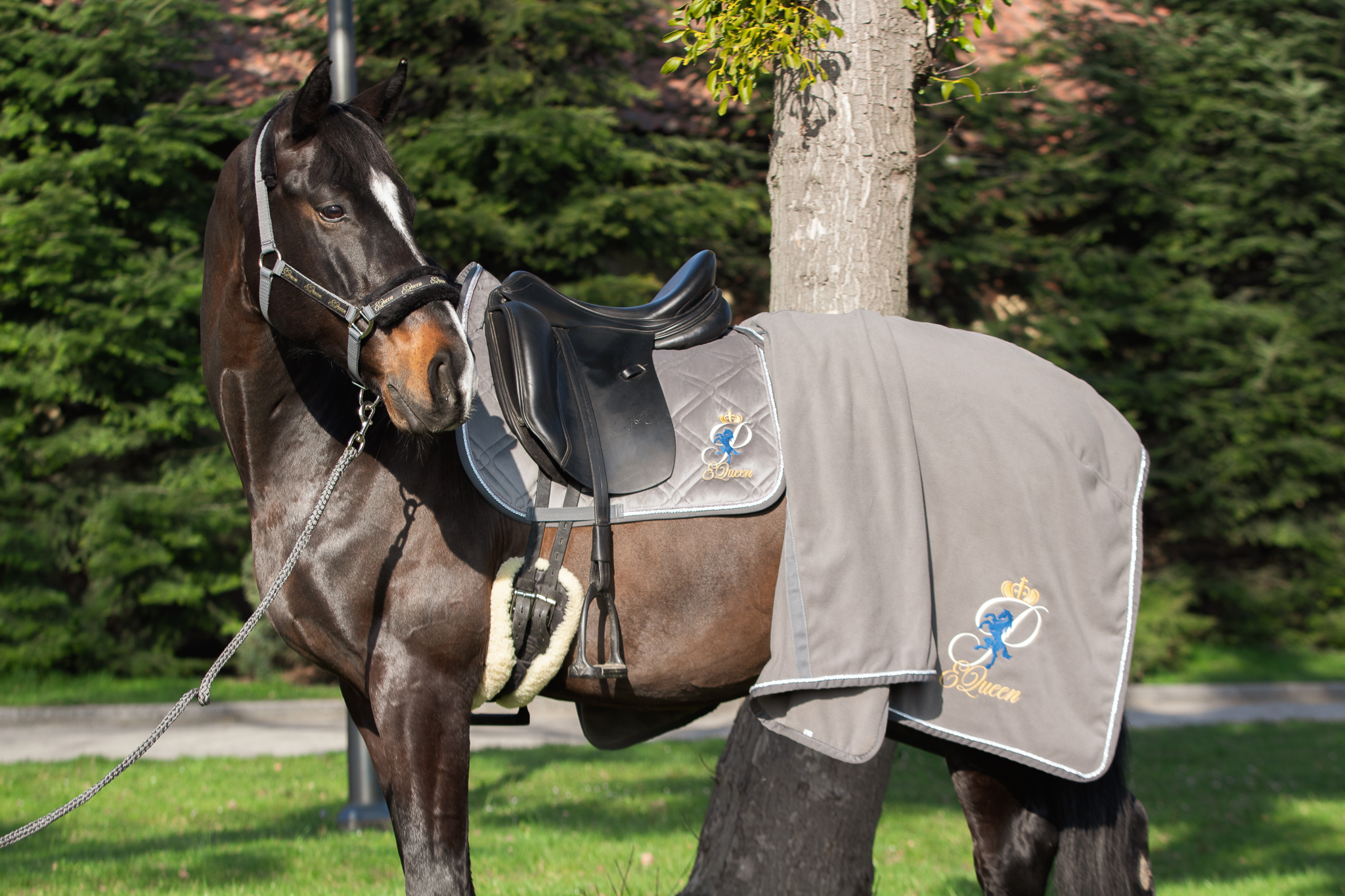 Czaprak ujeżdżeniowy PEQueen Glamour Szary dla konia