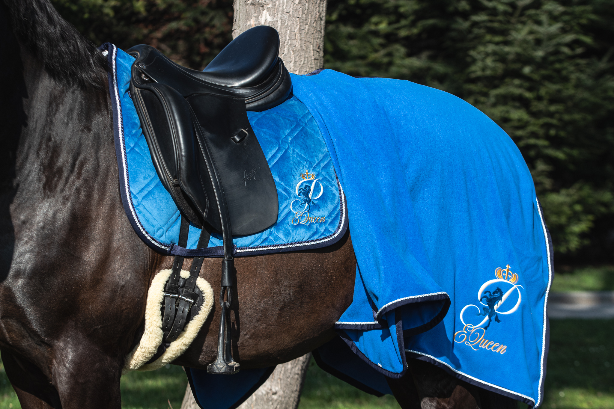 Czaprak dla konia - niebieski, zbliżenie