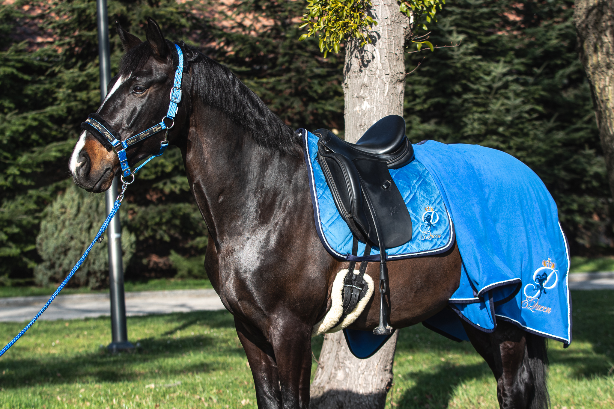 Czaprak dla konia - niebieski