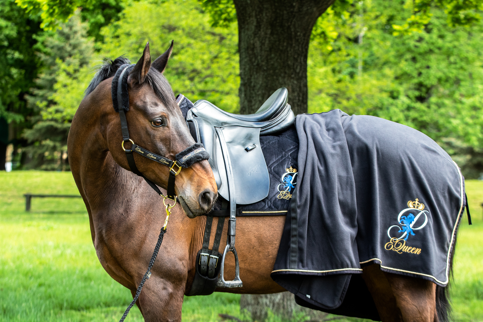 Czaprak skokowy PEQueen Glamour Czarny - zbliżenie