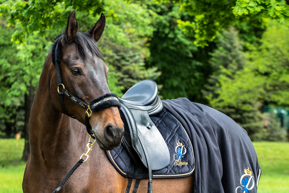 Czaprak skokowy PEQueen Glamour Czarny