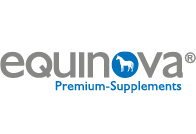 Szary napis Equinova, litera o w środku wyrazu jest niebieska i wrysowany jest w nią koń