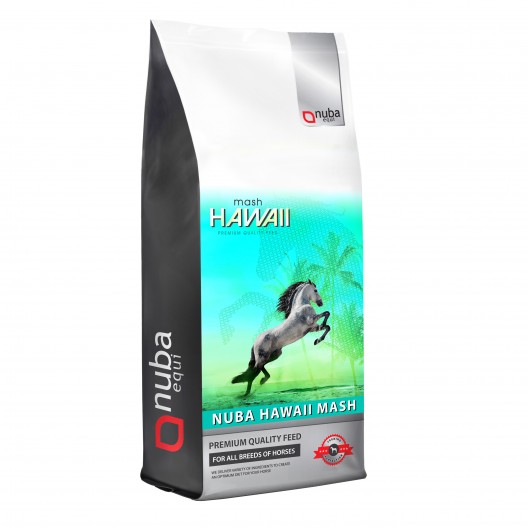 Worek z grafiką przedstawiającą siwego konia stojącego dęba na turkusowym tle