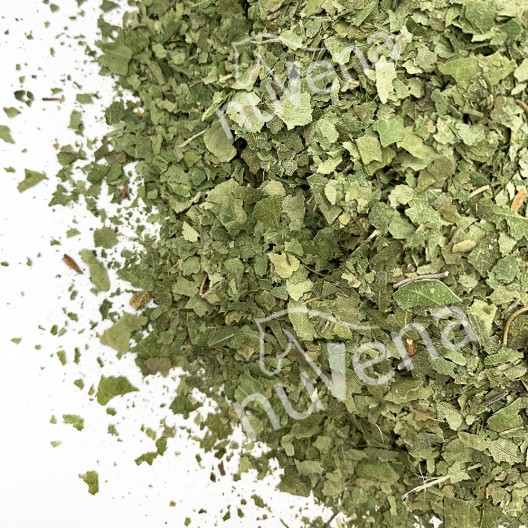 NuVena Herbs 1 kg - Suszone liście brzozy (Betula pendula)-susz
