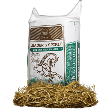 Biały worek sianokiszonki Leader's Spirit Energy marki My Land o wadze 20 kg, z logo producenta i grafiką galopującego konia. U podstawy worka rozsypana złocista kiszonka trawiasta.