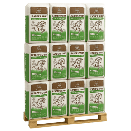 Sianokiszonka Leader's Spirit Special - paleta 10 szt x 20 kg