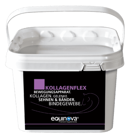 Equinova Kollagenflex – białe wiadro z suplementem kolagenowym dla koni wspierającym stawy, ścięgna, więzadła i tkankę łączną, seria Premium-Supplemente