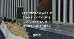 Jak wprowadzić sianokiszonkę do diety konia – krok po kroku