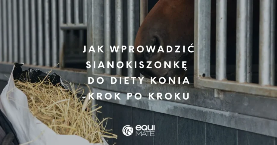 Jak wprowadzić sianokiszonkę do diety konia – krok po kroku