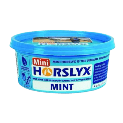Lizawka HORSLYX Mint (Turquise) – Mini 650 g