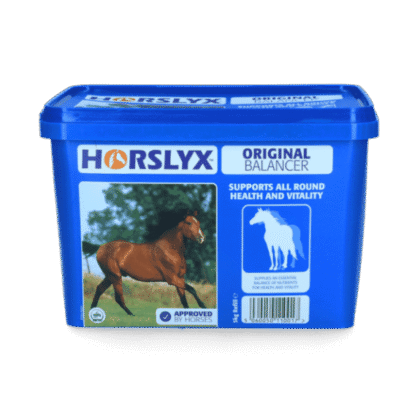 Lizawka HORSLYX Original (Blue) 5 kg - witaminy i minerały