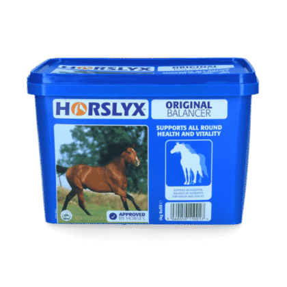 Lizawka HORSLYX Original (Blue) – 5 kg