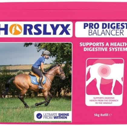 Lizawka HORSLYX Pro Digest 5 kg - na trawienie