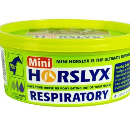 Lizawka HORSLYX Respiratory (Green) – Mini 650 g