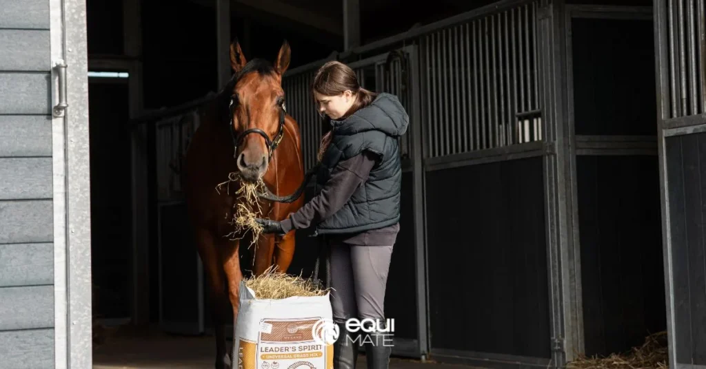 Sianokiszonka dla konia-my-land-leaders-spirit-oferta