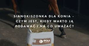 Sianokiszonka dla konia – czym jest kiedy warto ją podawać i na co uważać