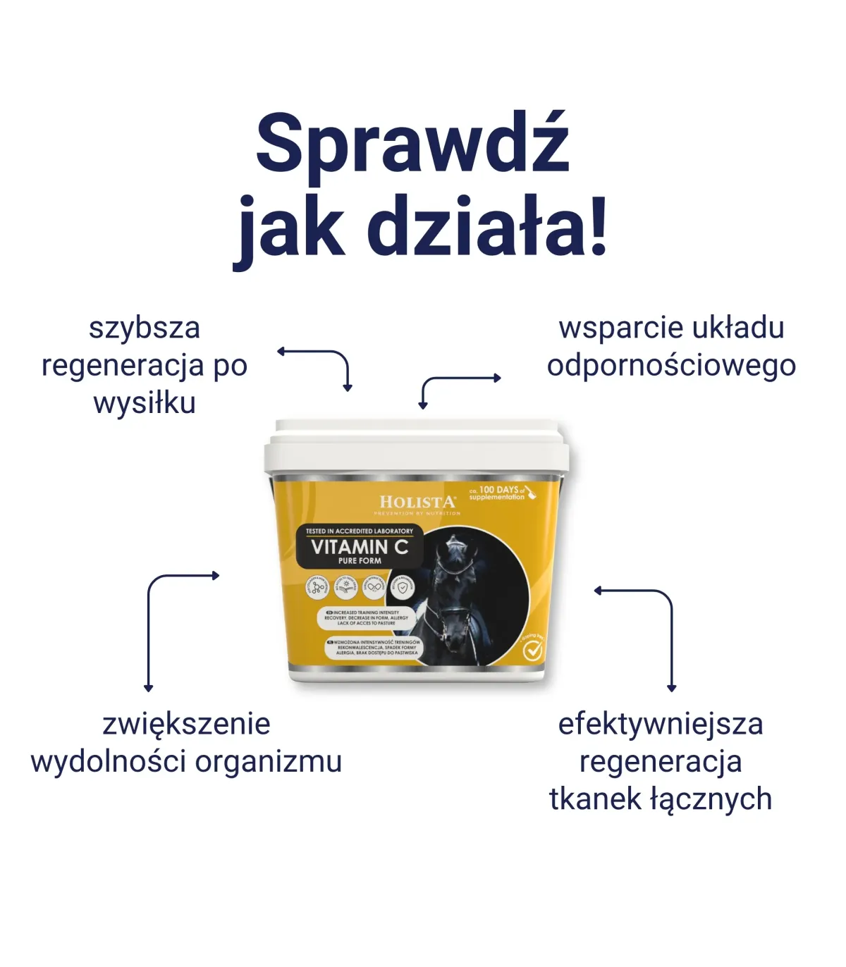 Holista witamina C dla koni wsparcie odporności i aparatu ruchu - jak działa