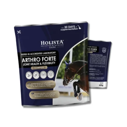 Holista Arthro Forte Joint Health & Flexibility 600g - wsparcie mobilności stawów
