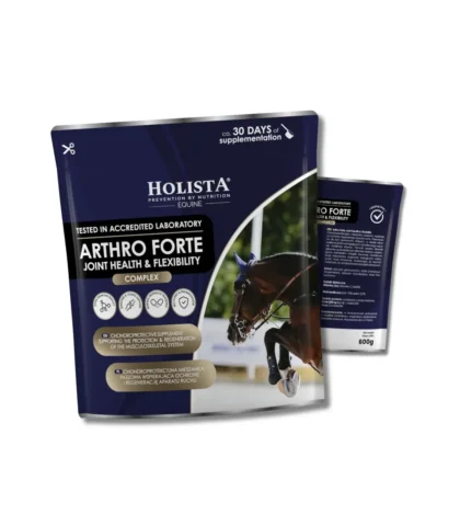 Holista Arthro Forte Joint Health & Flexibility 600g - wsparcie mobilności stawów