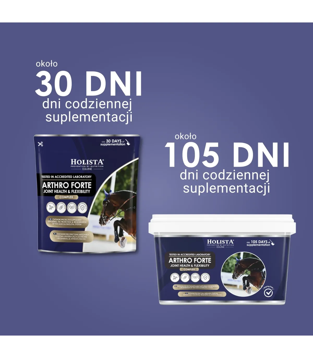 Holista Arthro Forte Joint Health & Flexibility - wsparcie mobilności stawów - dawkowanie