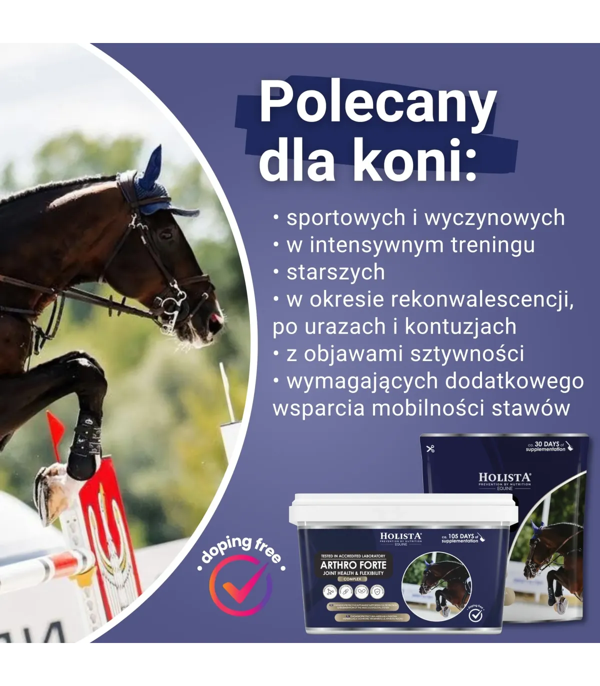 Holista Arthro Forte Joint Health & Flexibility - wsparcie mobilności stawów - dla jakich koni