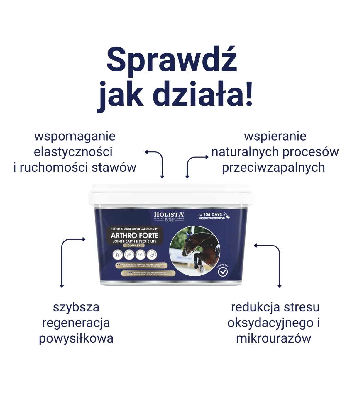 Holista Arthro Forte Joint Health & Flexibility - wsparcie mobilności stawów - działanie