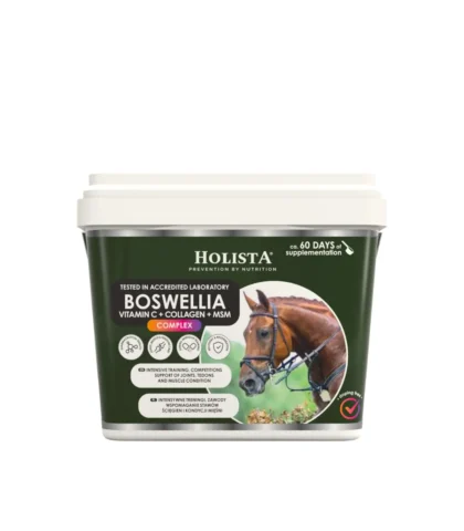 Holista Boswellia Serrata Complex 1000g - regeneracja stawów