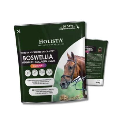 Holista Boswellia Serrata Complex 500g - regeneracja stawów