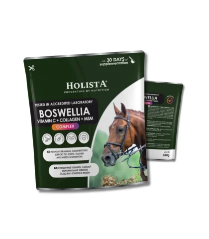 Holista Boswellia Serrata Complex 500g - regeneracja stawów
