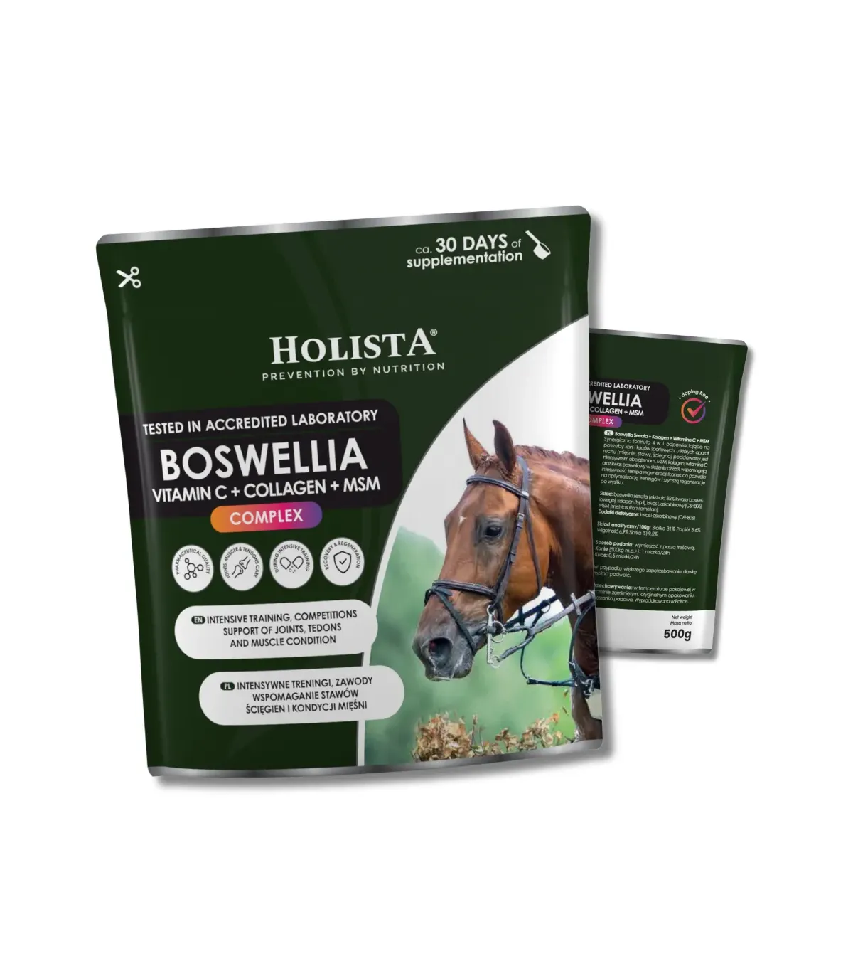 Holista Boswellia Serrata Complex 500g - regeneracja stawów