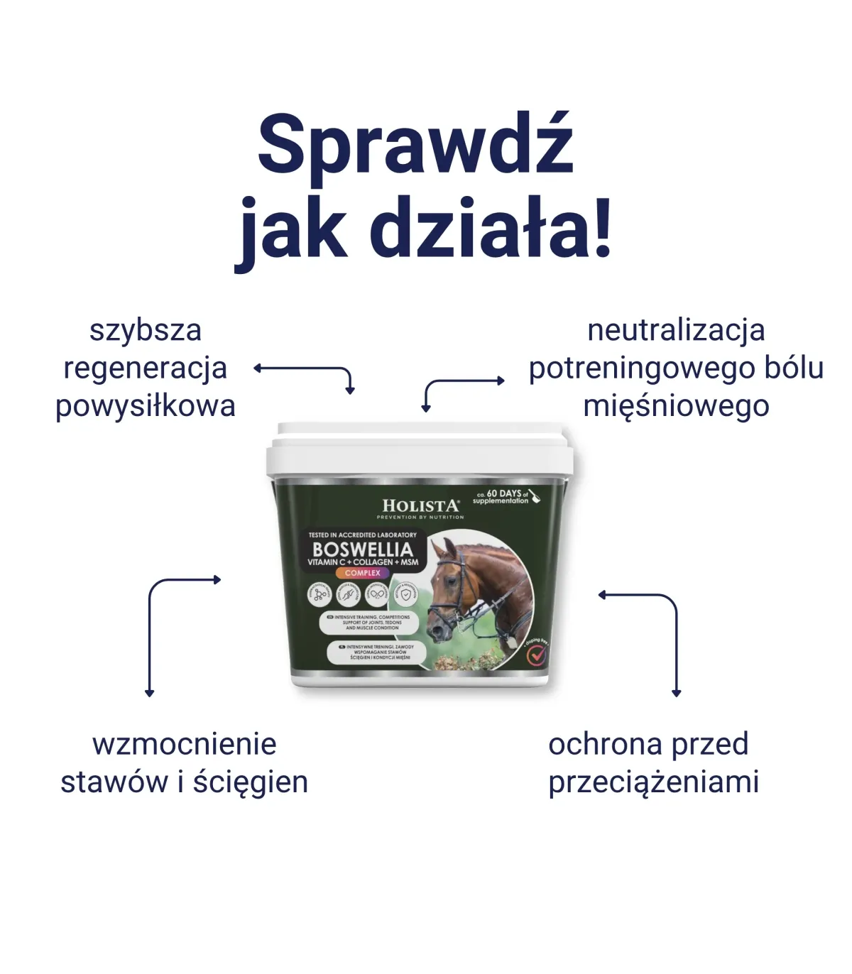 Holista Boswellia Serrata Complex - regeneracja stawów - działanie