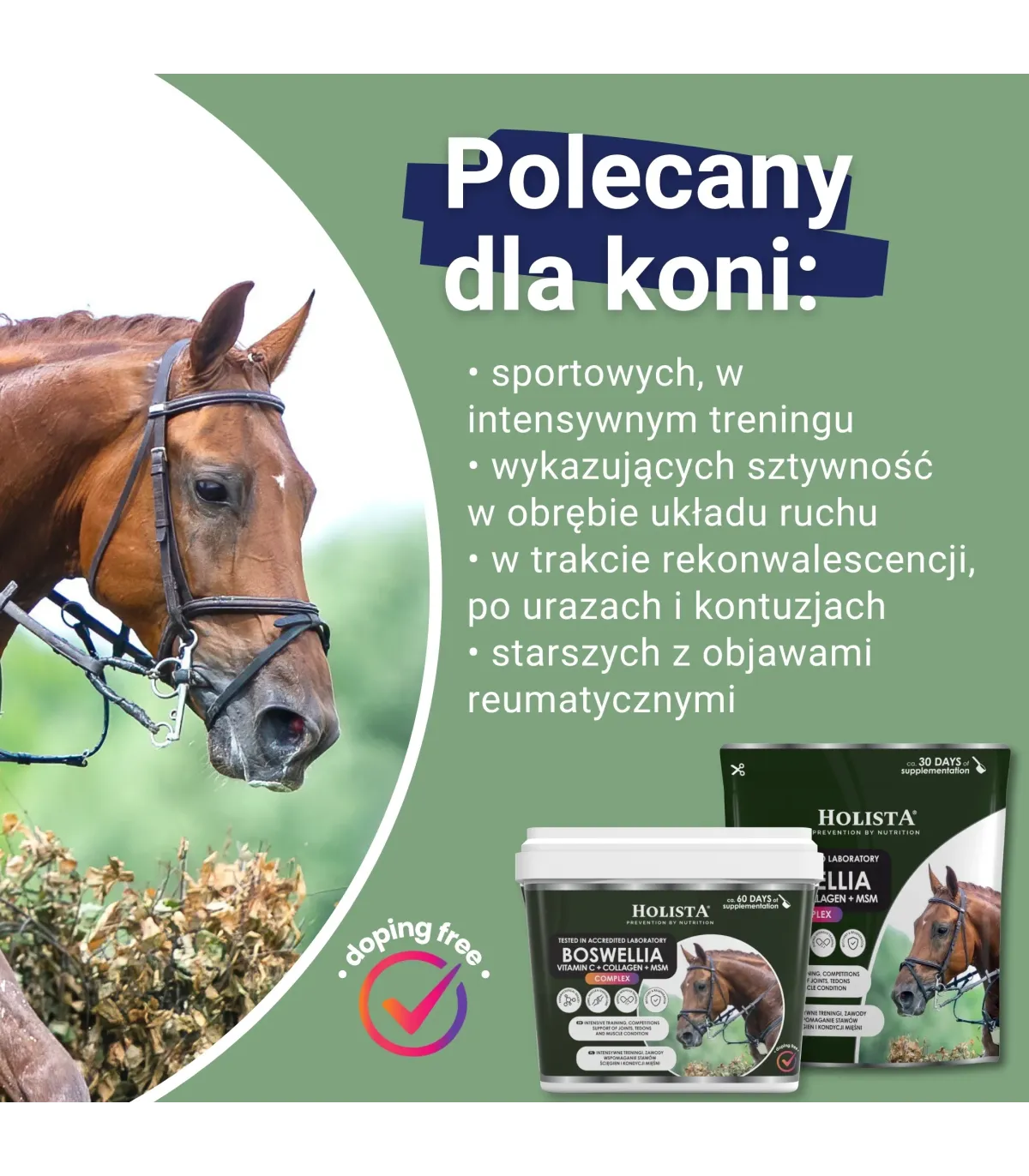 Holista Boswellia Serrata Complex - regeneracja stawów -polecany dla koni