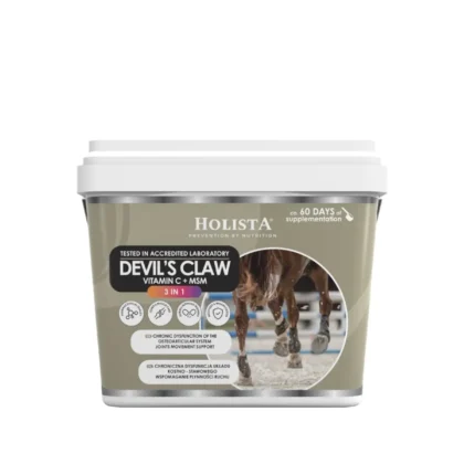 Holista Czarci Pazur 3w1- MSM + Vit C 1000g - schorzenia aparatu ruchu