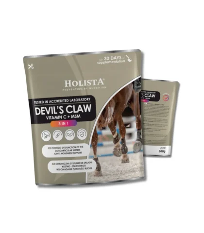 Holista Czarci Pazur 3w1- MSM + Vit C 500g - schorzenia aparatu ruchu