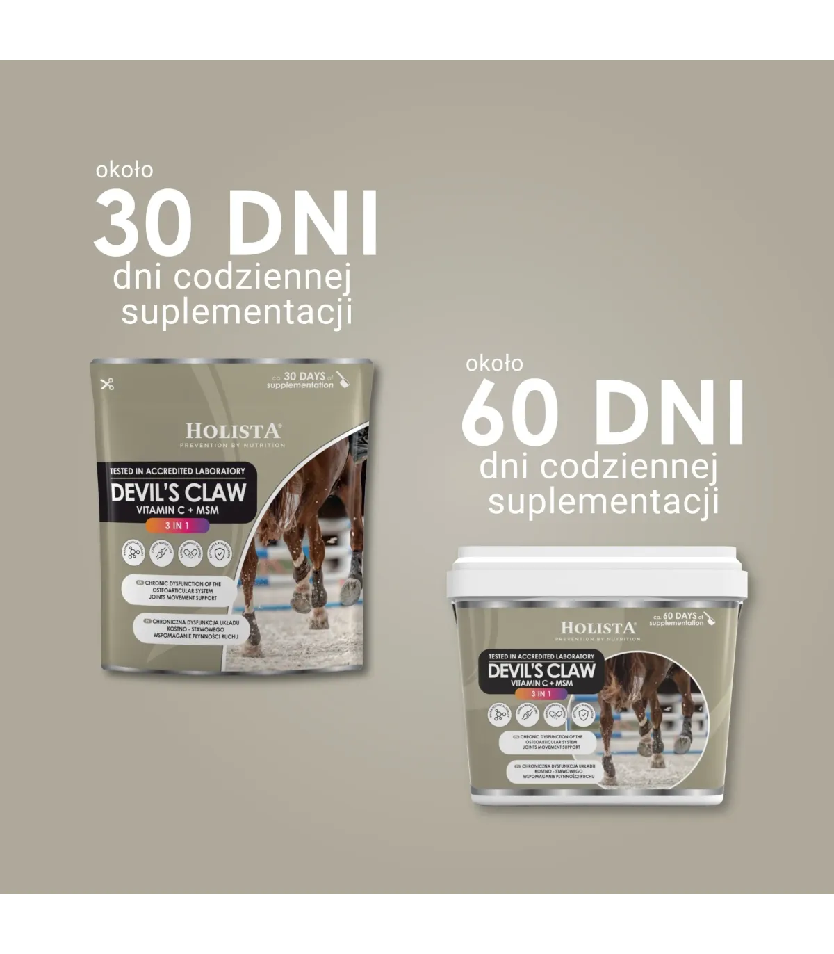 Holista Czarci Pazur 3w1- MSM + Vit C - schorzenia aparatu ruchu -dawkowanie