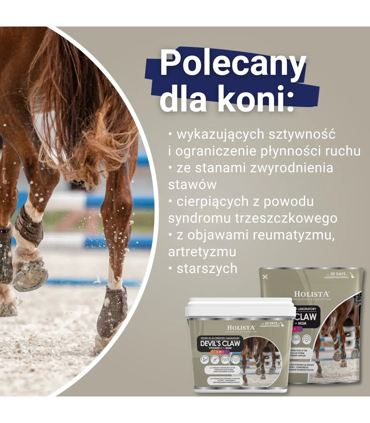 Holista Czarci Pazur 3w1- MSM + Vit C - schorzenia aparatu ruchu -dla kogo