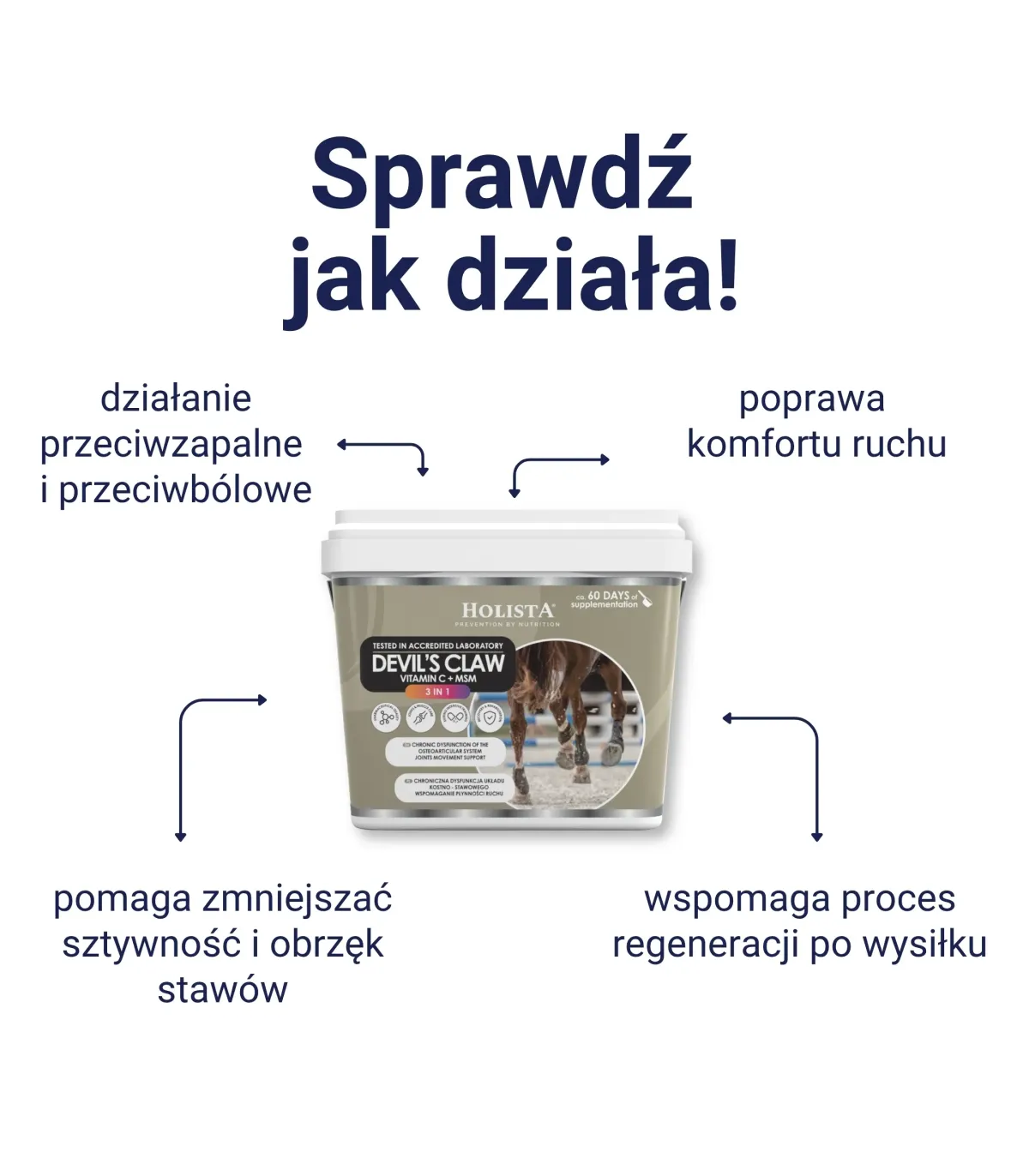 Holista Czarci Pazur 3w1- MSM + Vit C - schorzenia aparatu ruchu -działanie